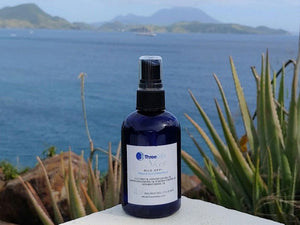 Bug Off! Buy 1, Get 1 Half Off – All-Natural Bug Spray That Actually Works